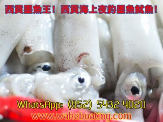 ^]2016 | PCe | 覡C | ] | Wakeboard | WhatsApp: 5432 4020 | www.wakeboating.com