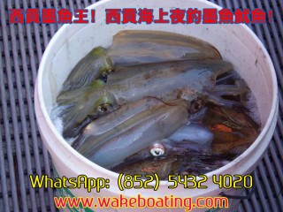 ^]2016 | PCe | 覡C | ] | Wakeboard | WhatsApp: 5432 4020 | www.wakeboating.com