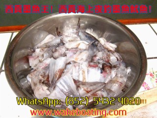 ^]2016 | PCe | 覡C | ] | Wakeboard | WhatsApp: 5432 4020 | www.wakeboating.com